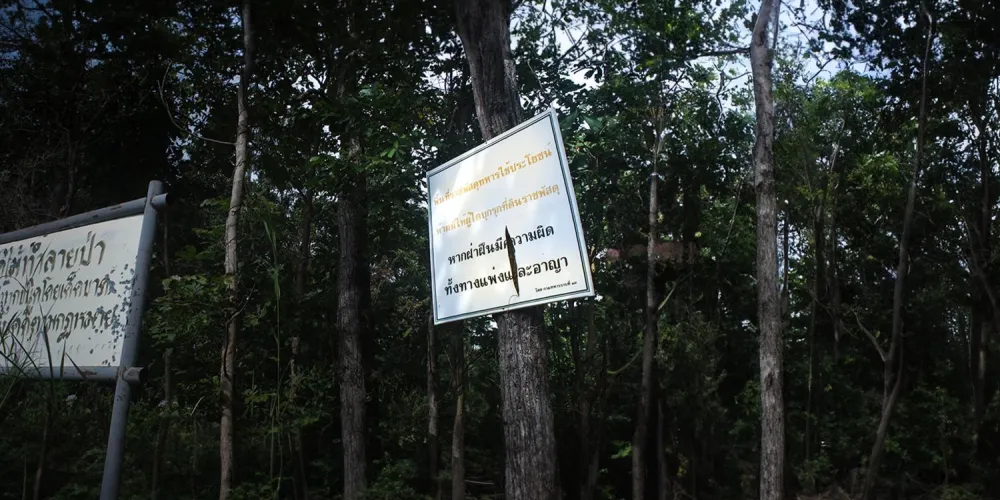 ท้องถิ่นจัดการป่า (1) ปัญหาการจัดการ ‘ป่าไม้’ ในไทย และตัวอย่างจากต่างประเทศ
